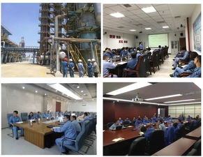 流程工業全周期能量優化技術服務 關鍵技術開發與應用