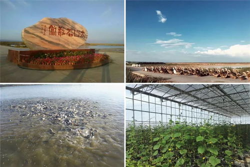 過(guò)節(jié)出游必看,九原區(qū)這4項(xiàng)冬季旅游節(jié)慶活動(dòng) 3條冬季旅游精品線讓你嗨翻天